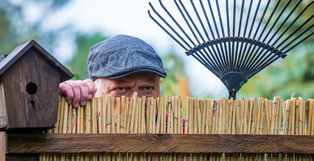 Een hekel aan je buren? Hier zijn de beste oplossingen om ze buiten te houden met planten.