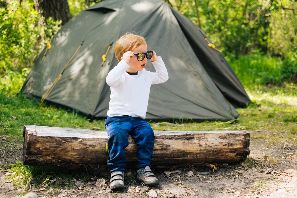 Maak van jouw camping een groen paradijs: de voordelen van haagplanten