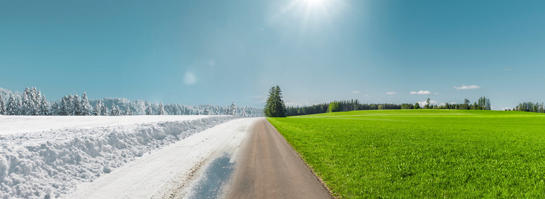 Blog: Zachte winters; wat te doen met je planten?