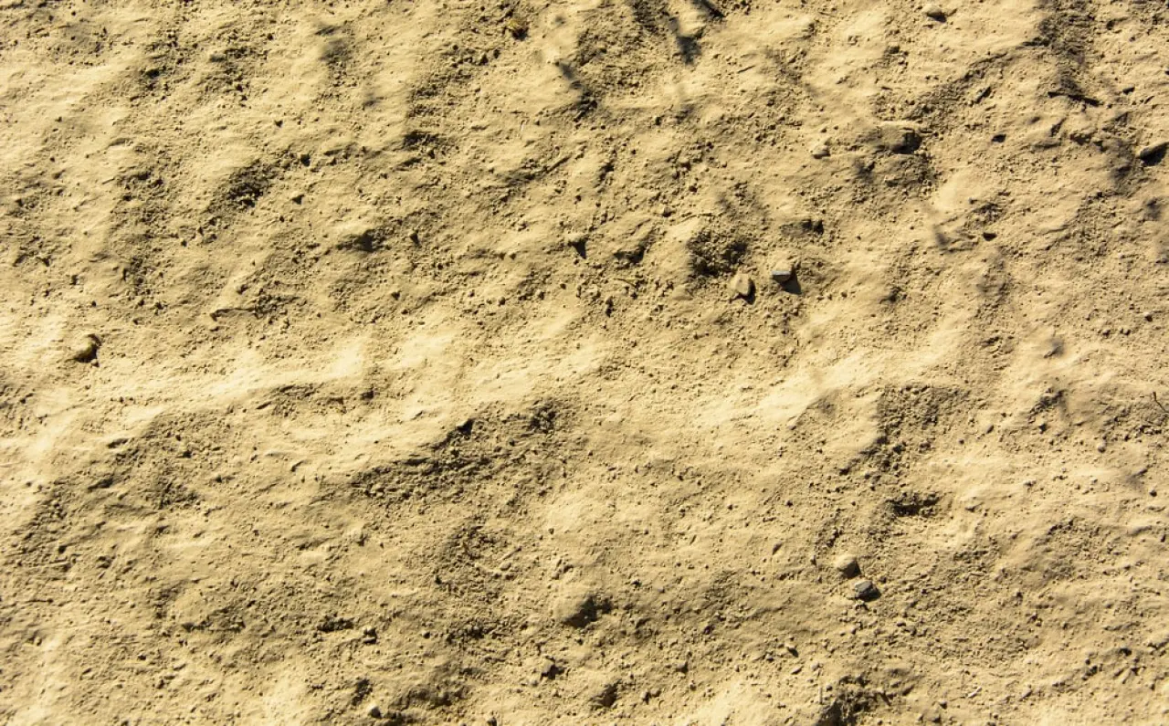 Close-up van de lössgrond zodat je de structuur van de grond goed kunt zien