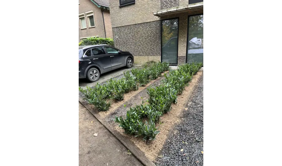 0.8 De tuin van Marcel