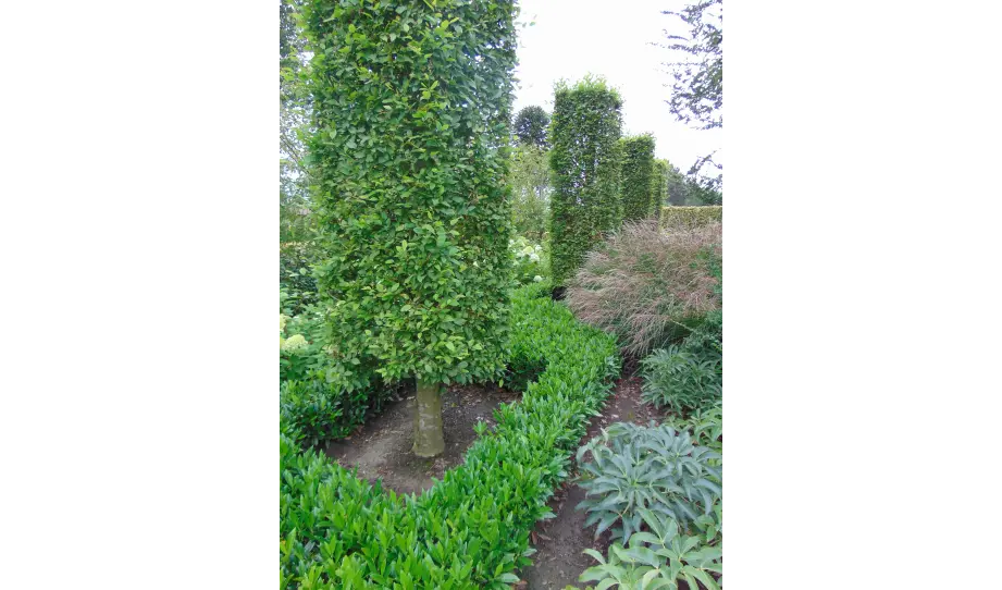 0.95 de tuin van Jos