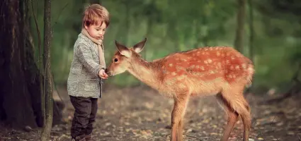 Een voedselbos aanleggen, wat houdt je tegen?