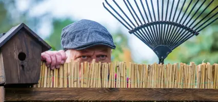 Een hekel aan je buren? Hier zijn de beste oplossingen om ze buiten te houden met planten.