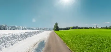 Zachte winters; wat te doen met jouw planten?