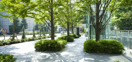 De verkoelende werking van planten