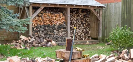 Je eigen haardhout kweek je zo
