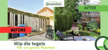 NK tegelwippen 2023; weg met de @onderhoudsarmoe