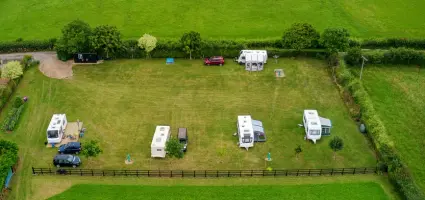 Maak van jouw camping een groen paradijs; de voordelen van haagplanten