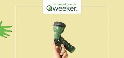 Groene vingers in augustus; wat te doen in je tuin?