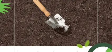 Groene vingers in september; wat te doen in je tuin?