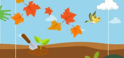 Groene vingers in november; wat te doen in je tuin?