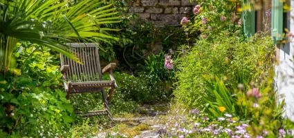 Haagplanten in een tiny garden: nooit te klein om er iets moois van te maken