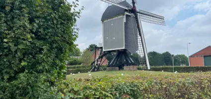 Inheems is helemaal hip: haagplanten van eigen bodem